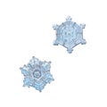 Two snowflakes isolated on white background Royalty Free Stock Photo