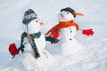 Two Snowmen - A lovely couple