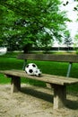 Two soccer balls, one big, one small are laying together on a park bench