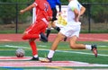 Two soccer players chasing the ball during a game Royalty Free Stock Photo