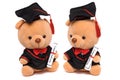 Two soft toy teddy bears wearing a graduation gown Royalty Free Stock Photo