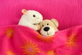Two soft toys cuddling in bed Royalty Free Stock Photo