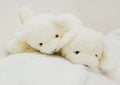 Two soft toys polar bears close-up. Children`s toy Royalty Free Stock Photo