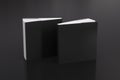 Two softcover or paperback square black mockup books standing on the black background. Blank front and back cover