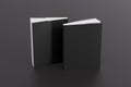 Two softcover or paperback vertical black mockup books standing on the black background. Blank front and back cover