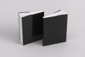 Two softcover or paperback vertical black mockup books standing on the white background. Blank front and back cover