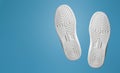 Two soles of sports shoe. White. Frontally on a blue background. Banner