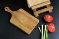 Two solid oak wooden cutting boards, chopped green onions and red fresh tomatoes on dark gradient background. Concept of selecting Royalty Free Stock Photo