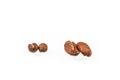 Two sorts of arabica isolated on white background.