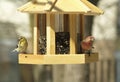 Two sparrows at a feeder Royalty Free Stock Photo