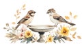 Two sparrows are perched on opposite sides of an elegant stone birdbath. Royalty Free Stock Photo