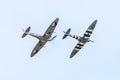 Two Spitfires Royalty Free Stock Photo