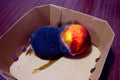 Two spoilt nectarine fruits with black and white mold. Close-up. In a catron box