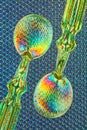 Two spoons in polarized light Royalty Free Stock Photo