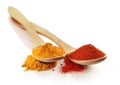 Two spoons of spices Royalty Free Stock Photo
