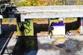 Two Sprayers painting their Graffitis on Walls in an abandoned Industry Area