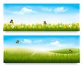 Two spring meadow banners with grass and flowers