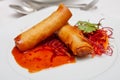 Two Spring Rolls on White Plate with Sauce Royalty Free Stock Photo