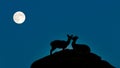 Two springboks kissing in the moonlight on a rock