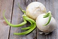 Two Sprouted Onions Royalty Free Stock Photo