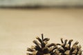 Two spruce cones lies on the craft background. The concept of winter and Christmas Royalty Free Stock Photo