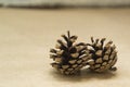 Two spruce cones lies on the craft background. The concept of winter and Christmas Royalty Free Stock Photo