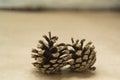 Two spruce cones lies on the craft background. The concept of winter and Christmas Royalty Free Stock Photo