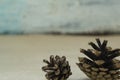 Two spruce cones lies on the craft background. The concept of winter and Christmas Royalty Free Stock Photo