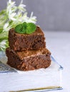 Two square baked pieces of chocolate brownie pie