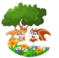 Two squirrel cartoon with blank sign Royalty Free Stock Photo