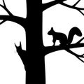 Two squirrel on the tree. Royalty Free Stock Photo