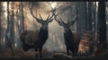 Two stag in the forest during a rut season, staring at camera