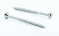 Two stainless steel wood screws on white Royalty Free Stock Photo