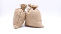 Two standing burlap sacks on white background