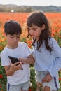 Two girls standing in poppy field taking photos with mobile phone Royalty Free Stock Photo