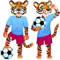 Two standing tigers as the footballers in uniform with the soccer ball