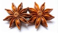 Two Star Anise Spice Pods with Visible Seeds Arranged on White Background herb seasoning Royalty Free Stock Photo