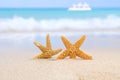 Two starfish on beach, blue sea and white boat