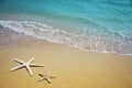 Two starfish on a beach. Sand and sea wave Royalty Free Stock Photo