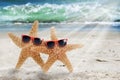 Two Starfish Beach Sunglasses Royalty Free Stock Photo