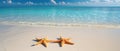 Two Starfish Resting On Sandy Beach With Crystal Clear Water Royalty Free Stock Photo