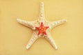 Two starfish on sand Royalty Free Stock Photo