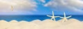 Two starfish on the sand of the coast under the sun rays, panorama. Concept of beach tourism, sea vacations