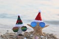 Two starfish on sea beach with sunglasses and santa hat for Merry Christmas and New Years Royalty Free Stock Photo