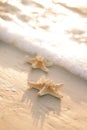 Two starfish on sea ocean beach in Florida, soft gentle sunrise Royalty Free Stock Photo