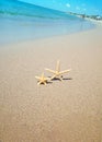 Two starfish on sea wave and sky nature vertical background