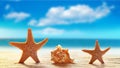 Two starfish and seashell on white sand beach with ocean Royalty Free Stock Photo