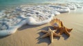 Two Starfish and a Shell on Sandy Beach Royalty Free Stock Photo