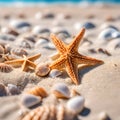 Two starfish surronded by shells in a beach, blurred background.