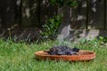 Starlings washing and preening in a bird bath Royalty Free Stock Photo